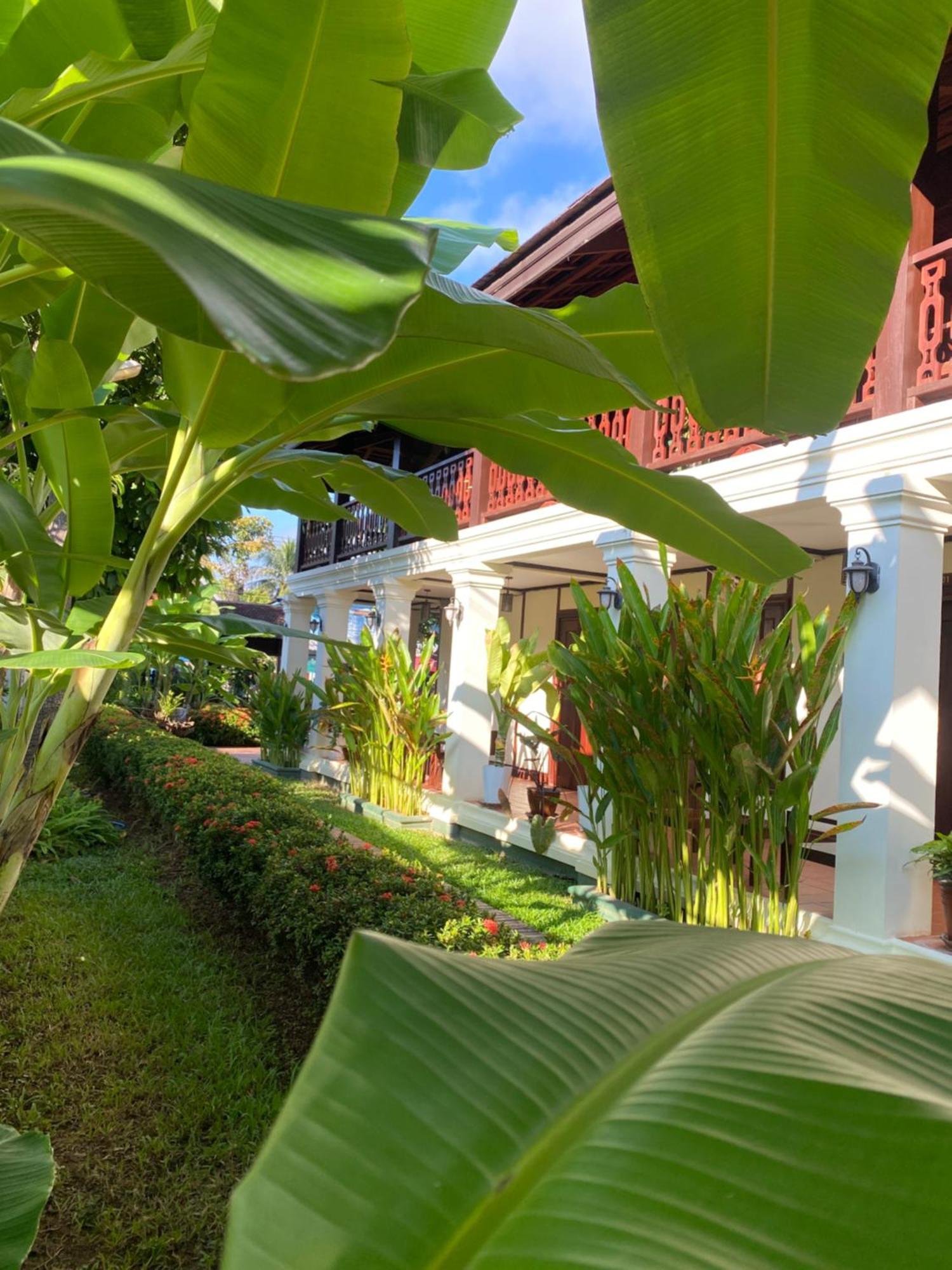 Luang Prabang Residence & Travel Zewnętrze zdjęcie